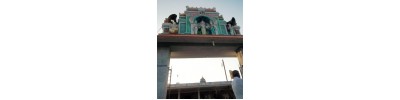 தென்சேரி மலை - கோயம்புத்தூர்
